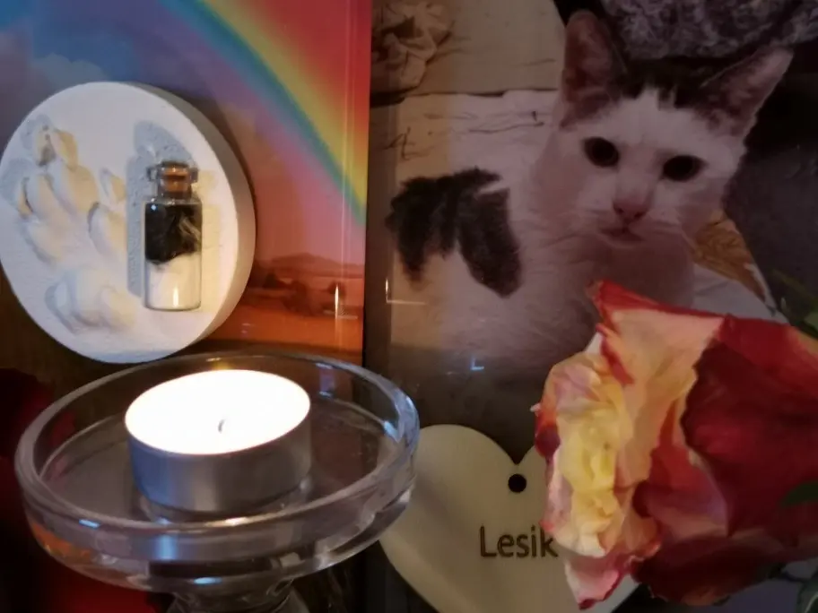 Condolence image of Olena mit Lesik im Herzen ❤