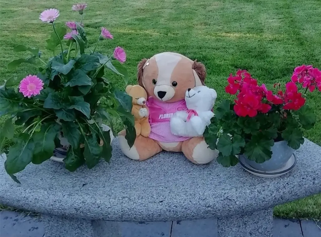 Condolence image of ♡