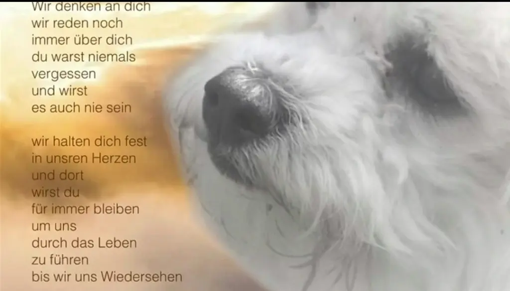 Condolence image of Immer ♡in♡meinem♡Herzen ♡