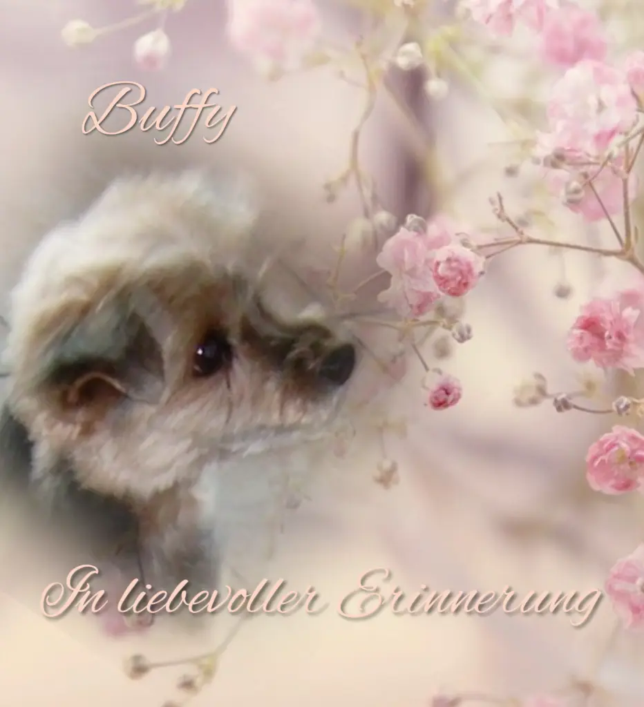 Condolence image of Immer ♡in♡meinem♡Herzen ♡