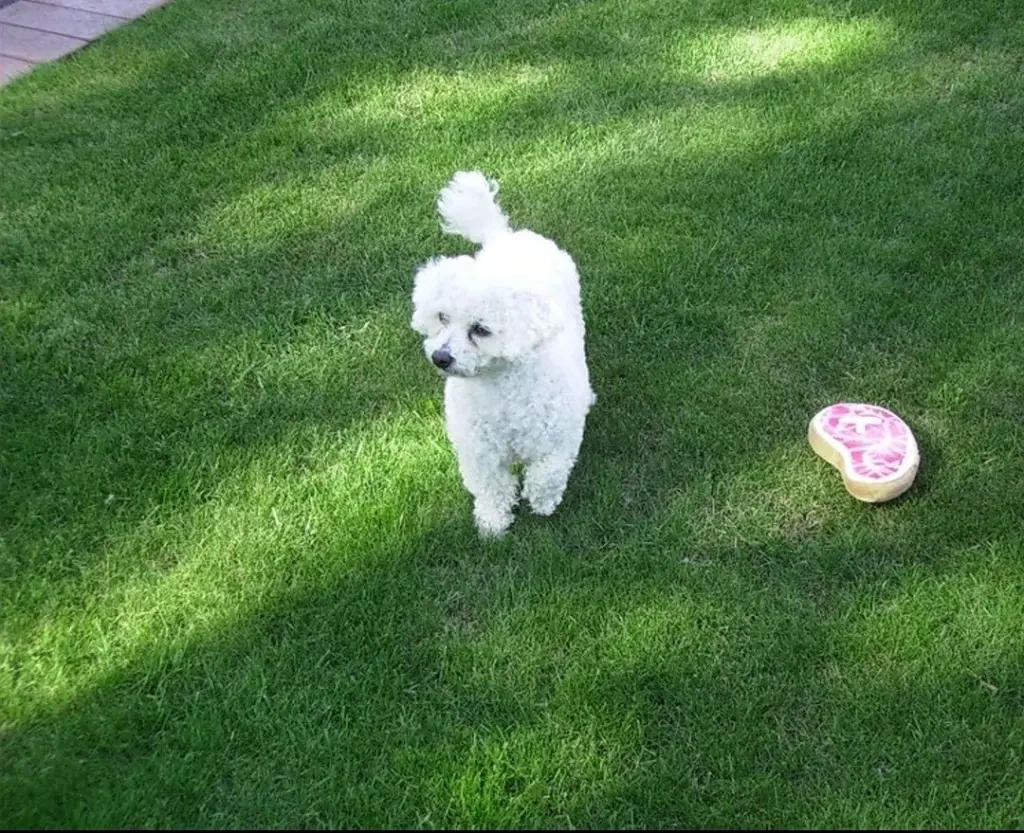 Condolence image of Immer ♡in♡meinem♡Herzen ♡