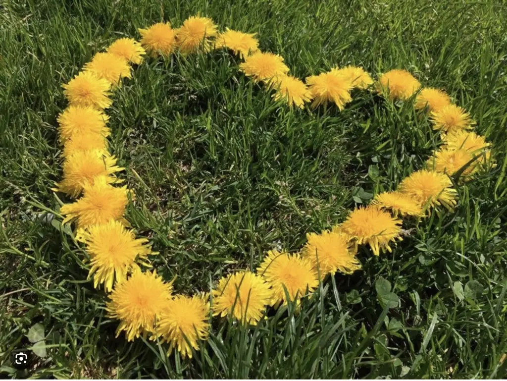 Condolence image of Wenke mit Lilli tief im ❤️