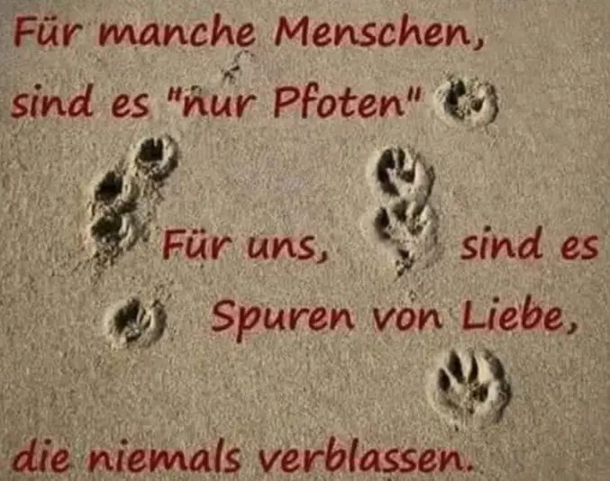 Condolence image of Claudia mit ASKO❤️ 