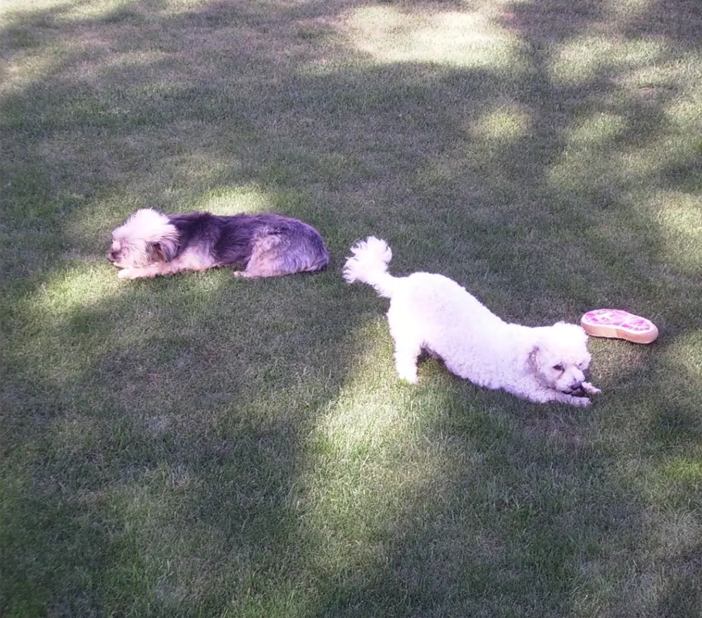 Condolence image of Immer ♡in♡meinem♡Herzen ♡