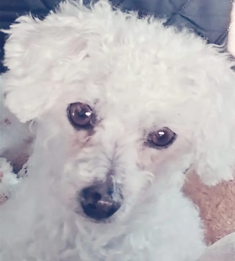 Condolence image of ♡Immer in meinem Herzen ♡