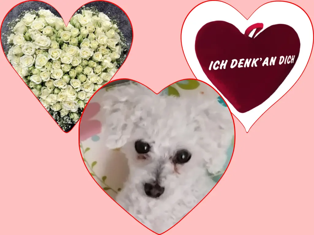 Condolence image of Corinna ♥️