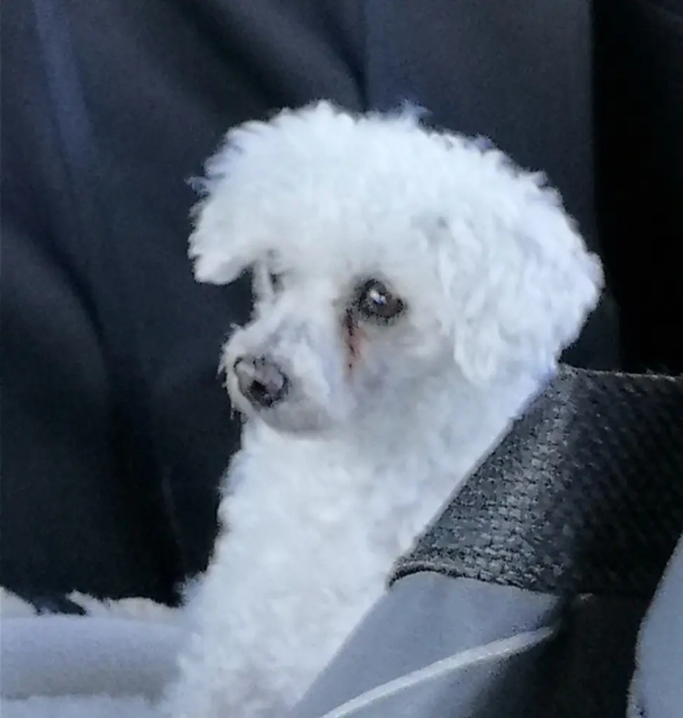 Condolence image of ♡Immer in meinem Herzen ♡