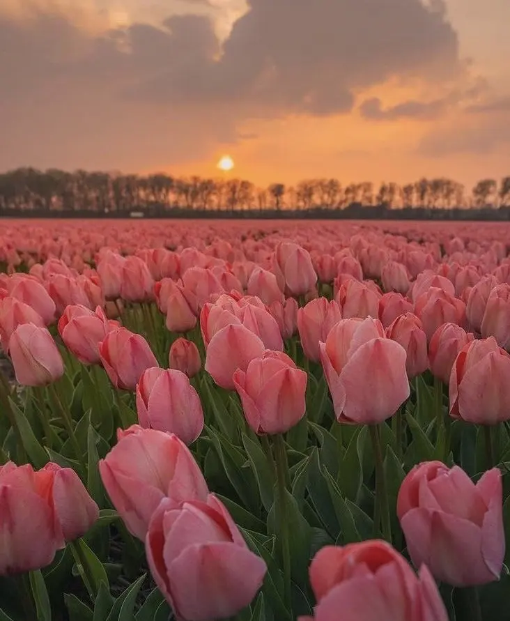 Condolence image of Heide mit Cita im Herzen❤️