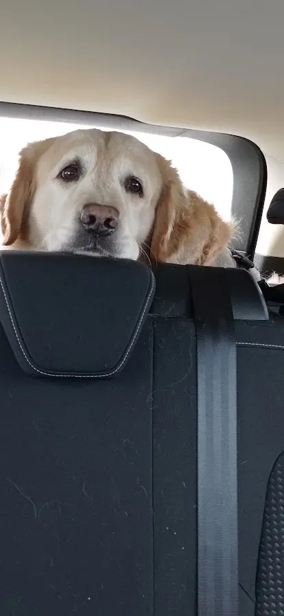 Condolence image of Peter & Christa