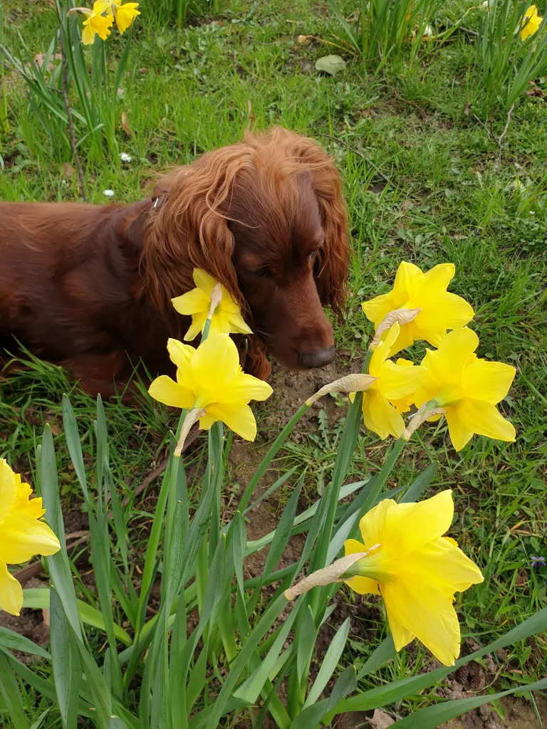 Condolence image of Sabine mit Joschi im ❤️ 
