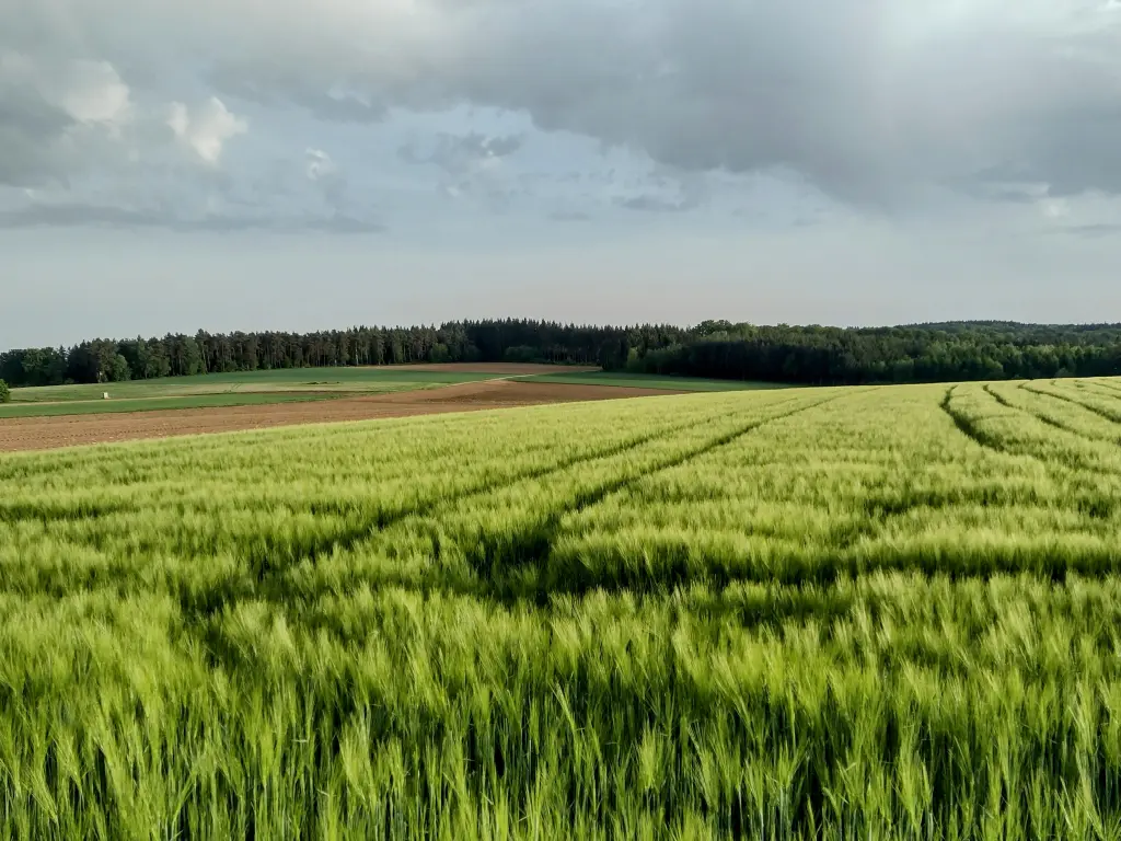 Condolence image of Corinna ♥️