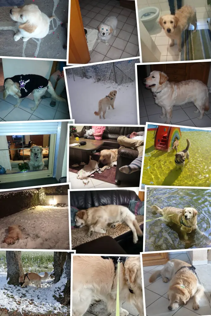 Condolence image of Peter & Christa