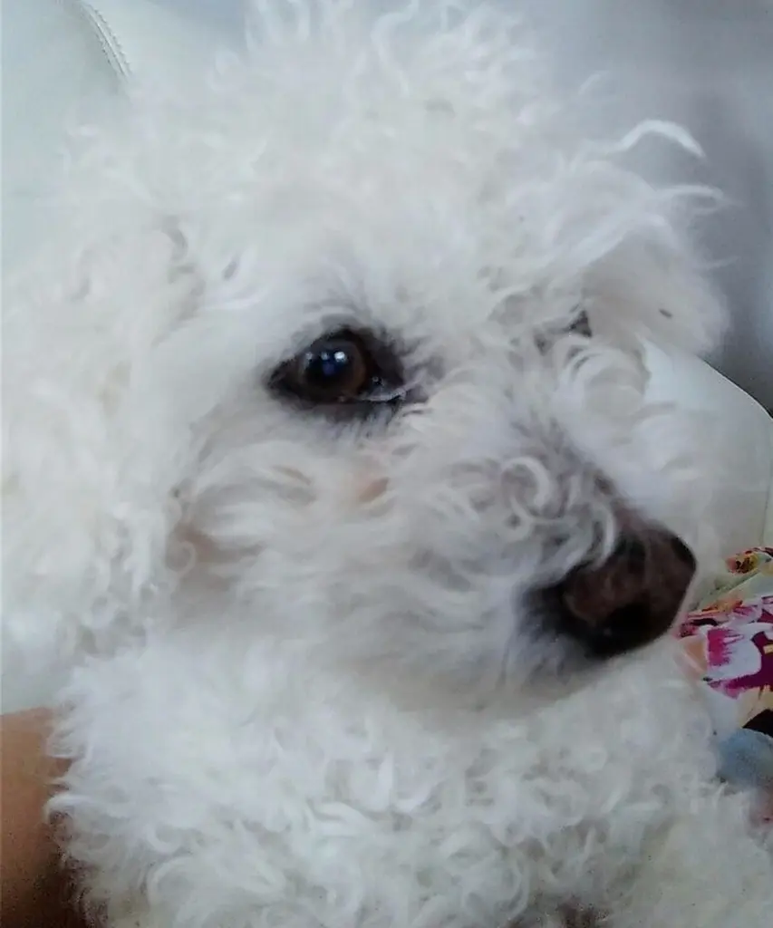 Condolence image of Unbekannt