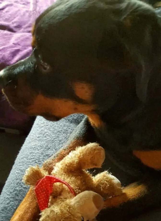 Condolence image of ❤️