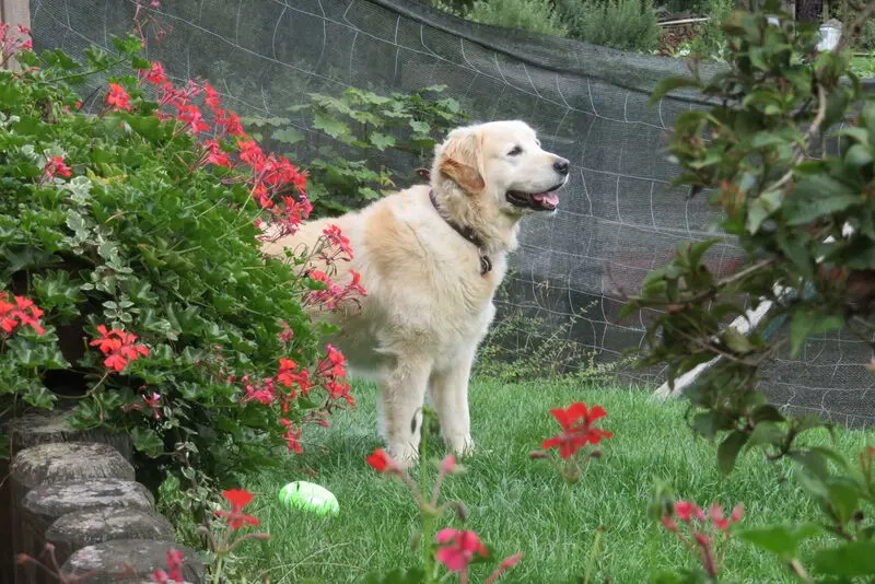 Condolence image of Peter & Christa