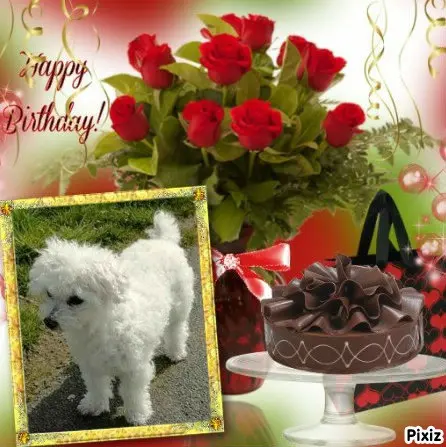 Condolence image of Tanja mit Timmy im Herzen 