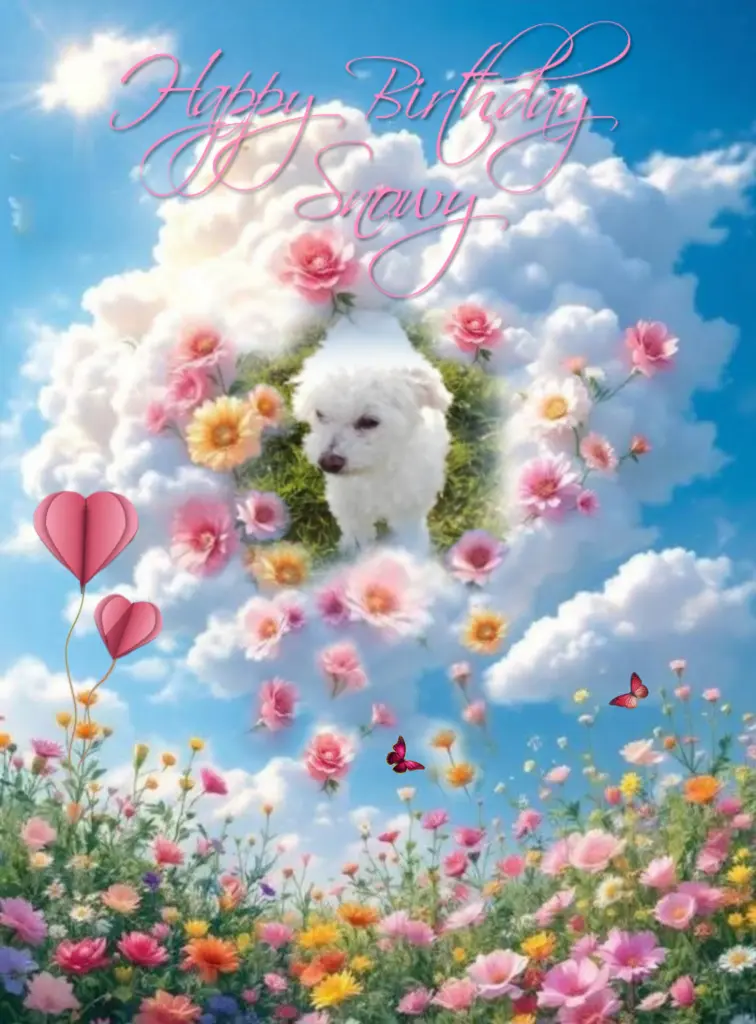 Condolence image of ♥️Happy Birthday♥️ liebe Snowy♥️ 