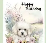 Condolence image of Angelika mit Luna ❤️