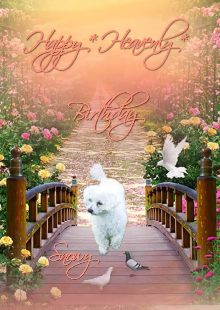 Condolence image of Immer ♡in♡unserem ♡Herzen ♡