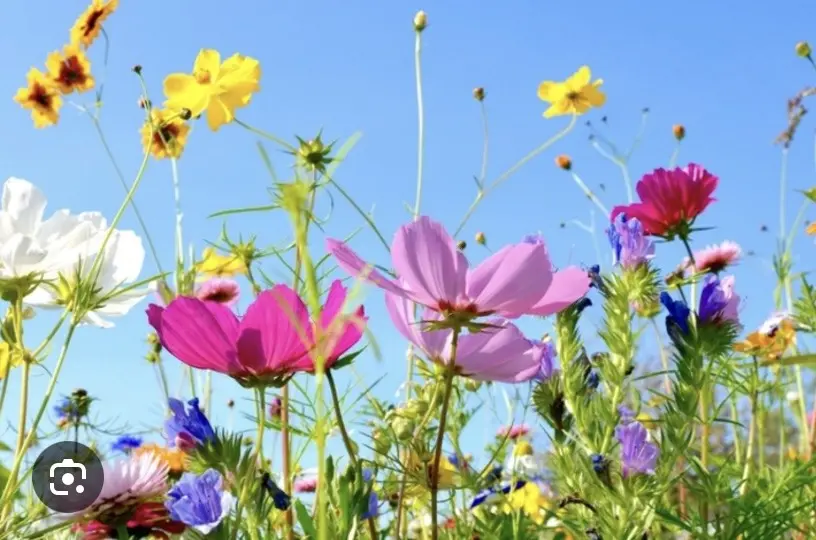 Condolence image of Wenke mit Lilli im❤️