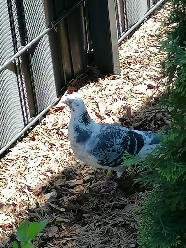 Condolence image of Gaby