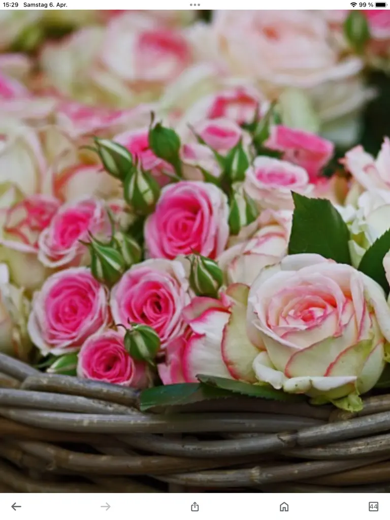 Condolence image of Alles Liebe zum Geburtstag ❤️