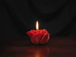 Condolence image of Angelika mit Luna ❤️