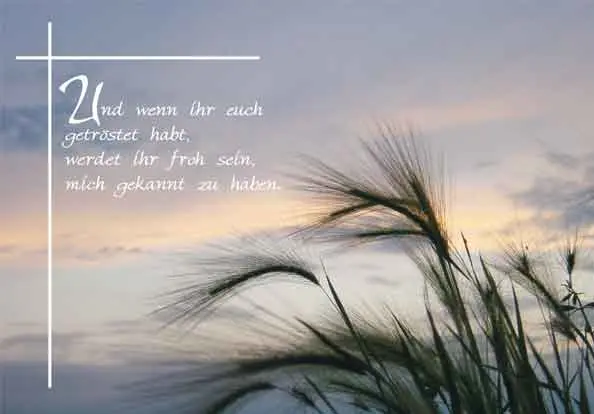 Condolence image of JJ. ♥️f. Snowy ❤️