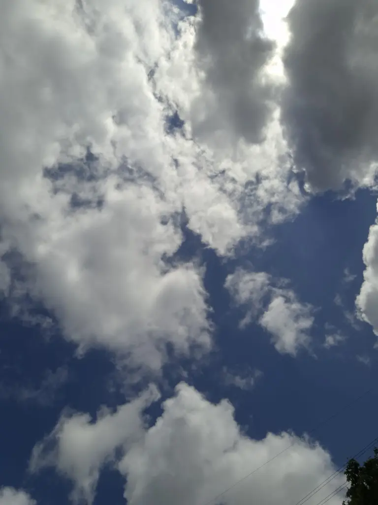 Condolence image of Heike und Tucker