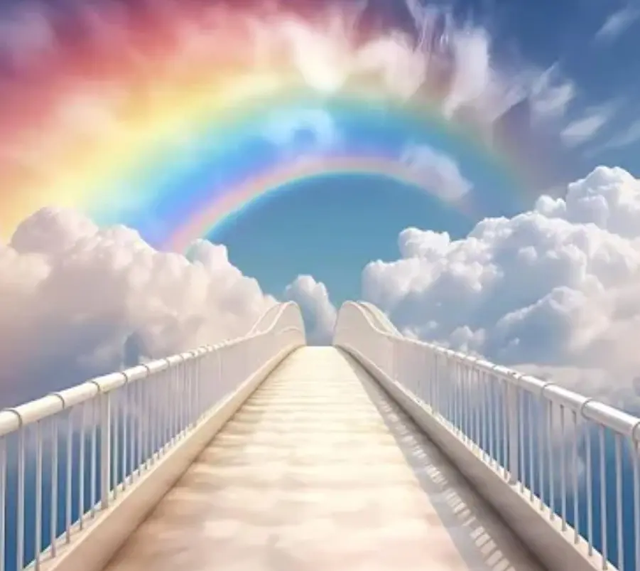 Condolence image of Süße Träume ins Regenbogenland ❤️