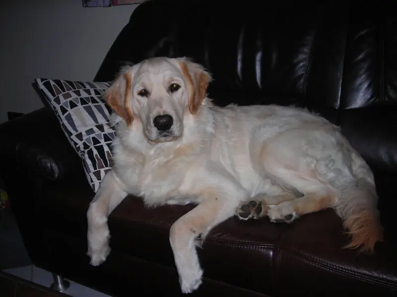 Condolence image of Peter