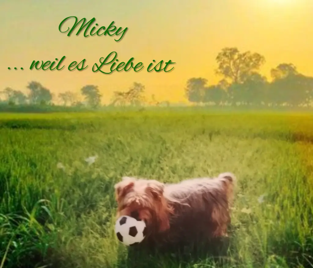 Condolence image of Immer ♡in♡unserem ♡Herzen ♡