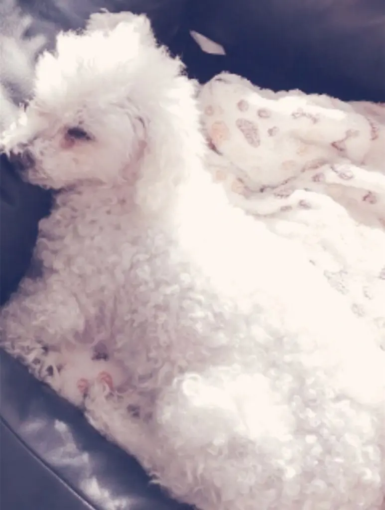 Condolence image of Unbekannt