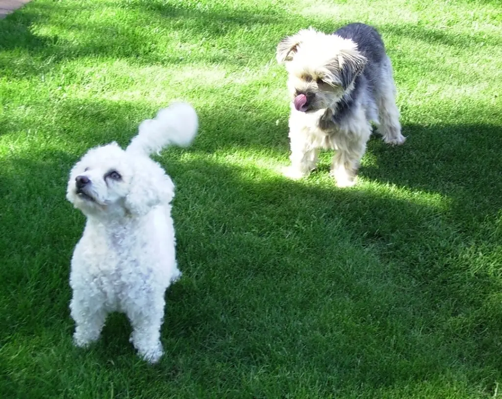 Condolence image of Immer ♡in♡meinem♡Herzen ♡