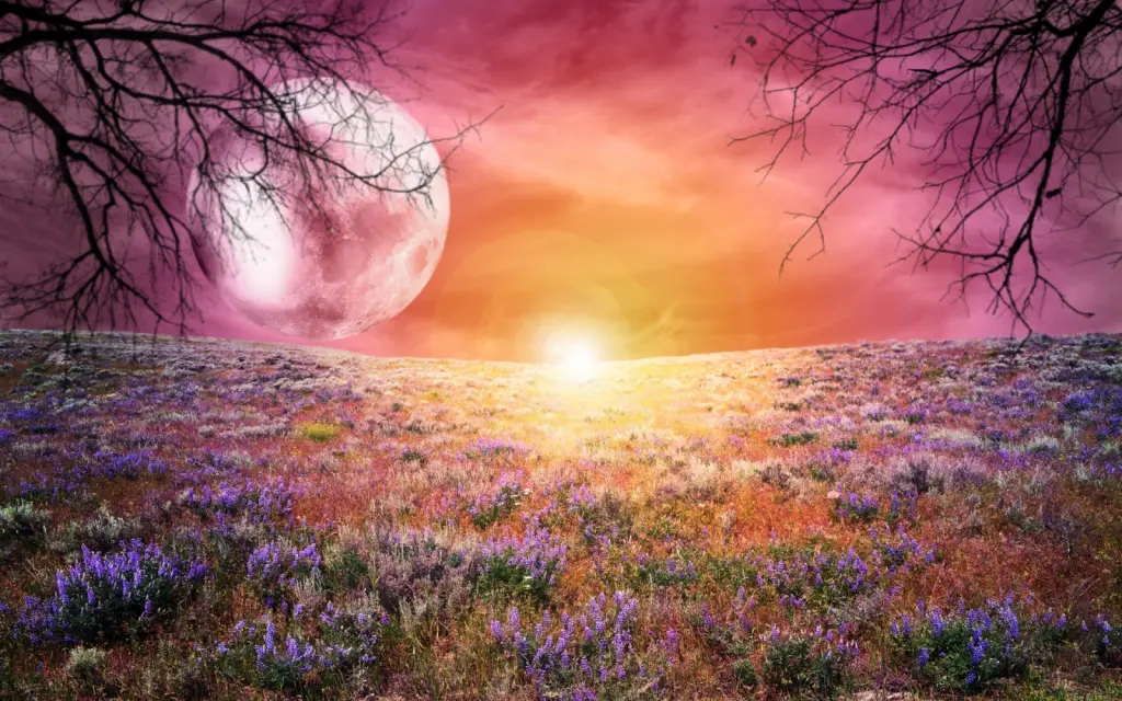 Condolence image of Petra mit Motte 