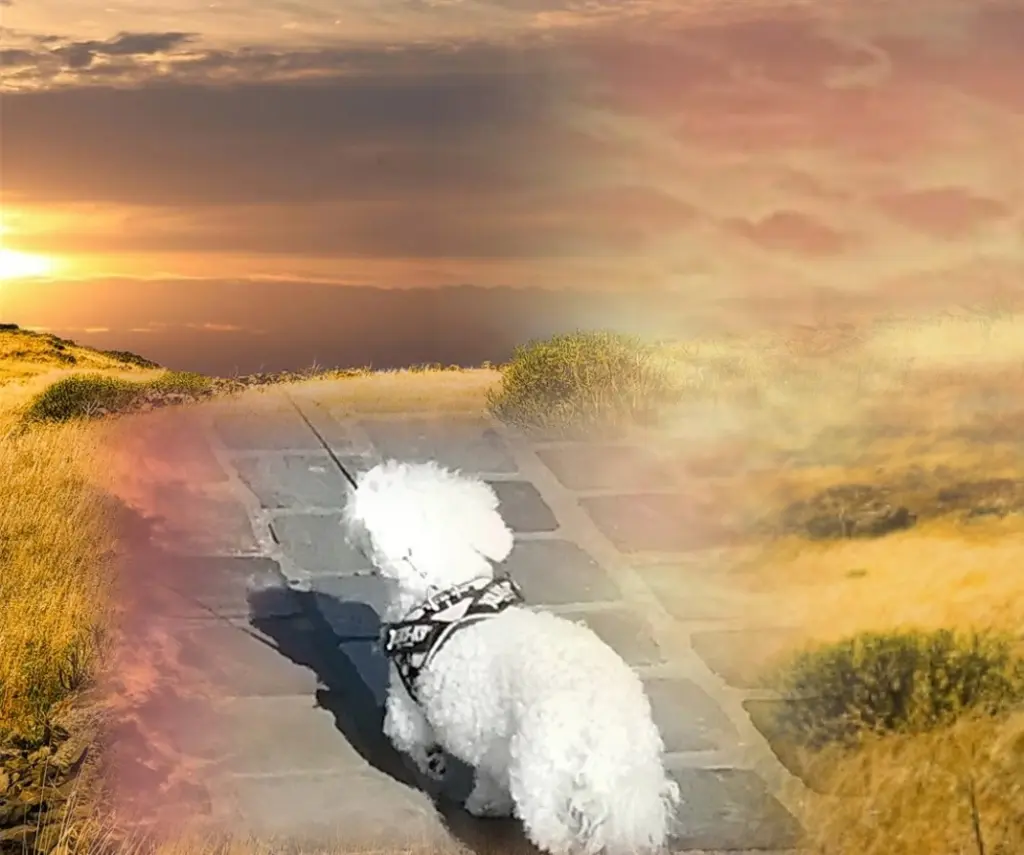 Condolence image of Immer ♡in♡meinem♡Herzen ♡