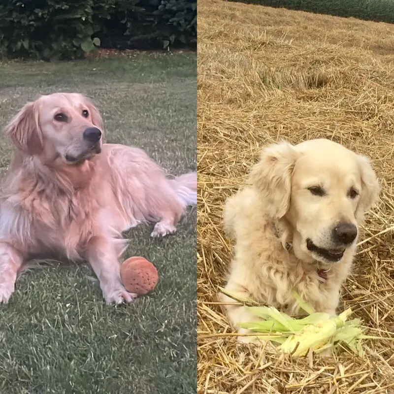 Condolence image of Andy ,Piet ❤️❤️ und Freddi ❤️