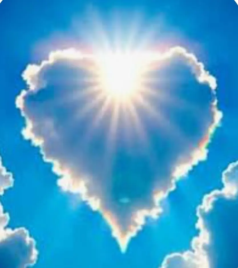 Condolence image of Cuddles ❤️