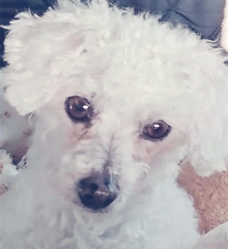 Condolence image of Immer ♡in♡meinem♡Herzen ♡