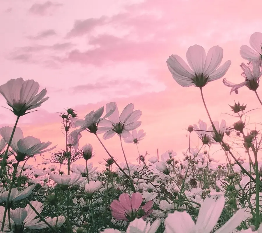 Condolence image of ♡*♡*♡*♡*