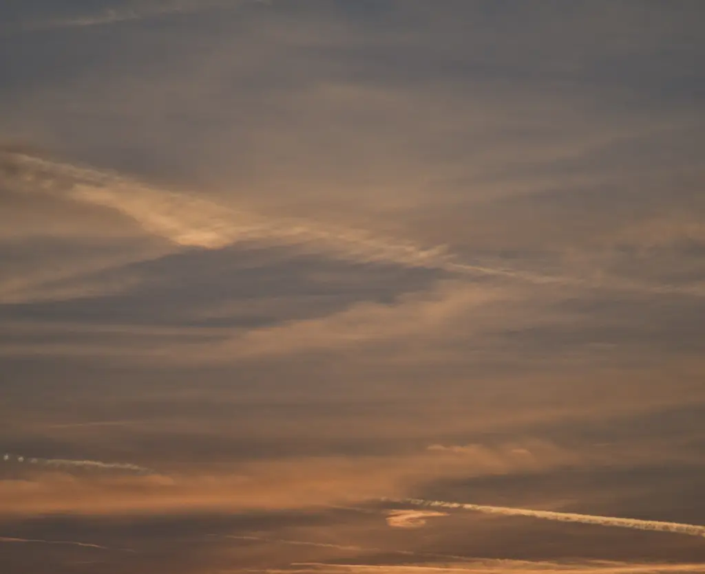 Condolence image of Liebe Grüße von Amy *