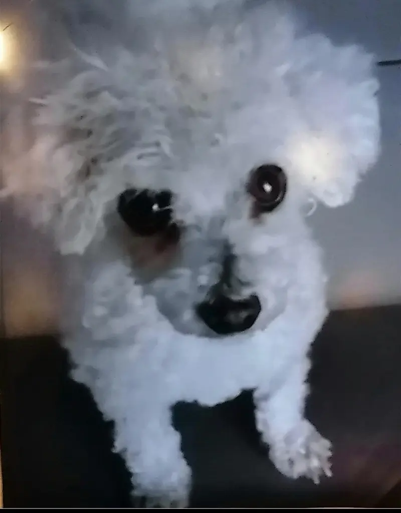 Condolence image of Immer ♡in♡meinem♡Herzen ♡