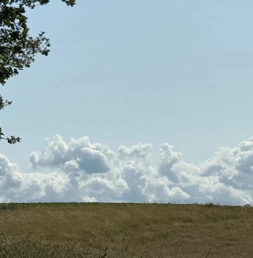 Condolence image of Danke❤️