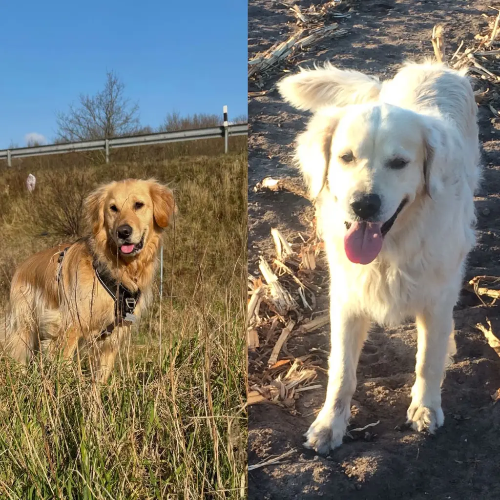 Condolence image of ❤️❤️❤️