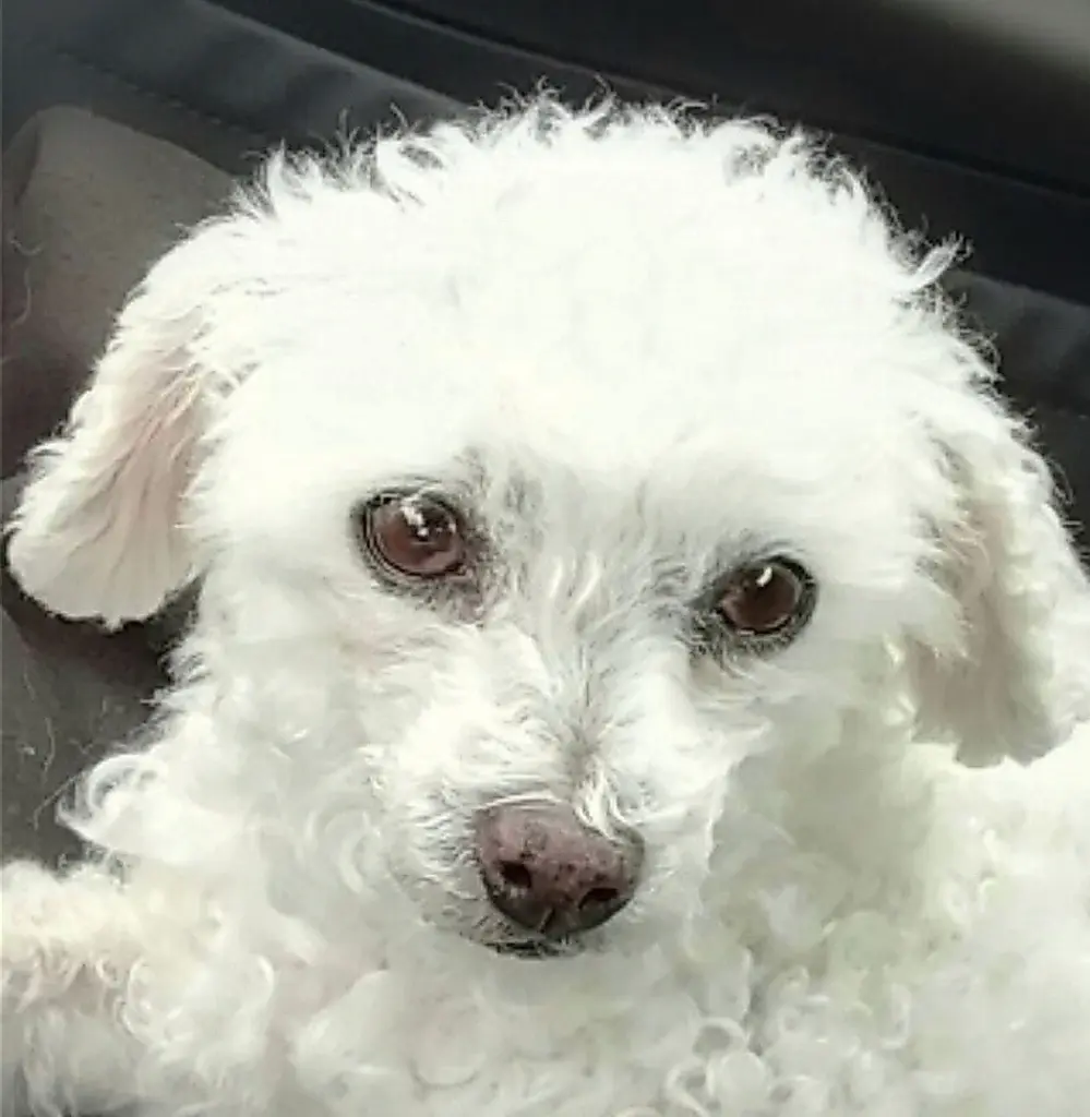 Condolence image of Immer ♡in♡meinem♡Herzen ♡