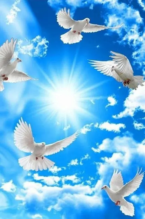 Condolence image of Von Nicky