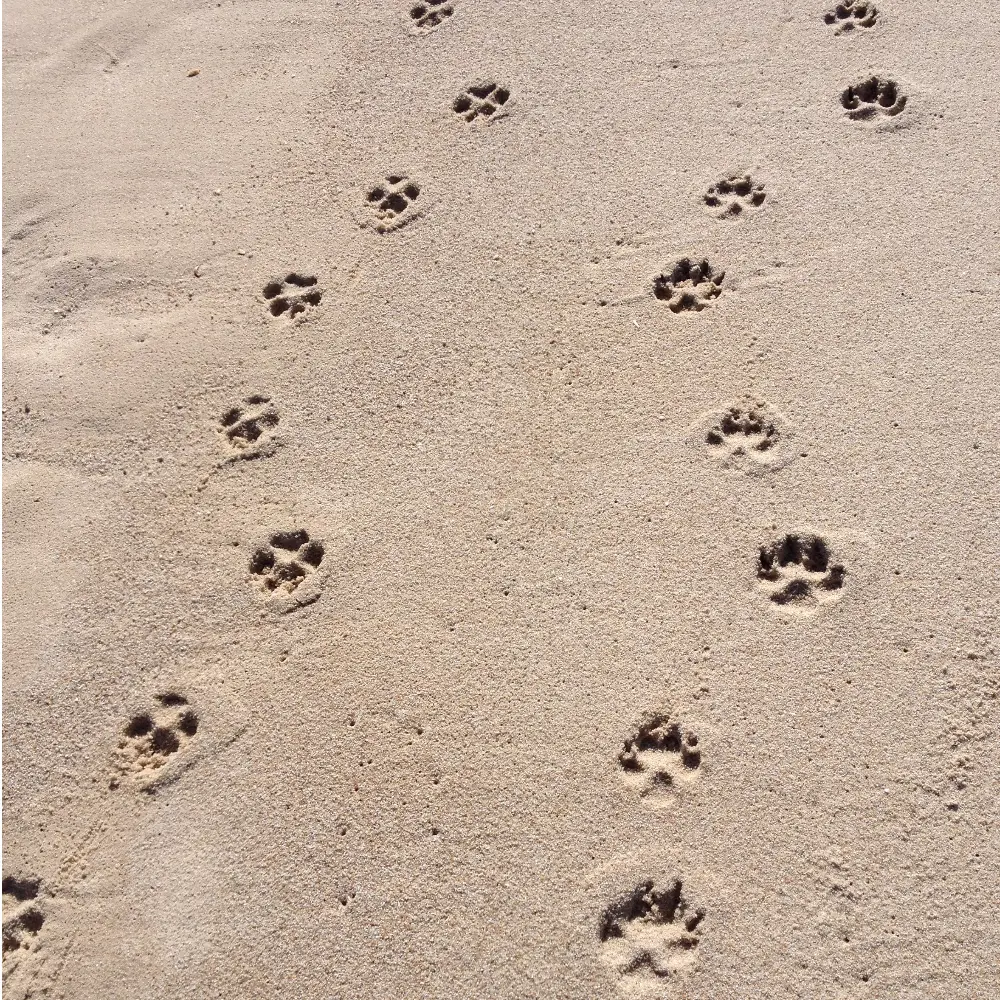 Condolence image of Iris mit Linus und Eliot im ♥ 