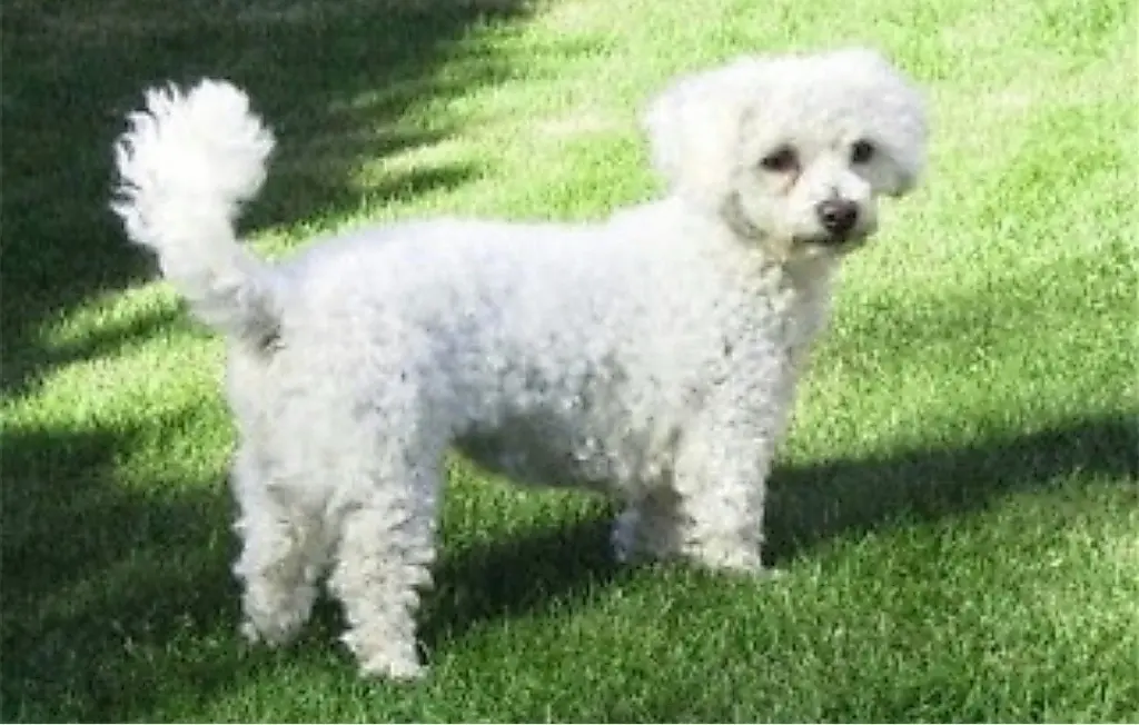 Condolence image of *♡*♡*♡*♡