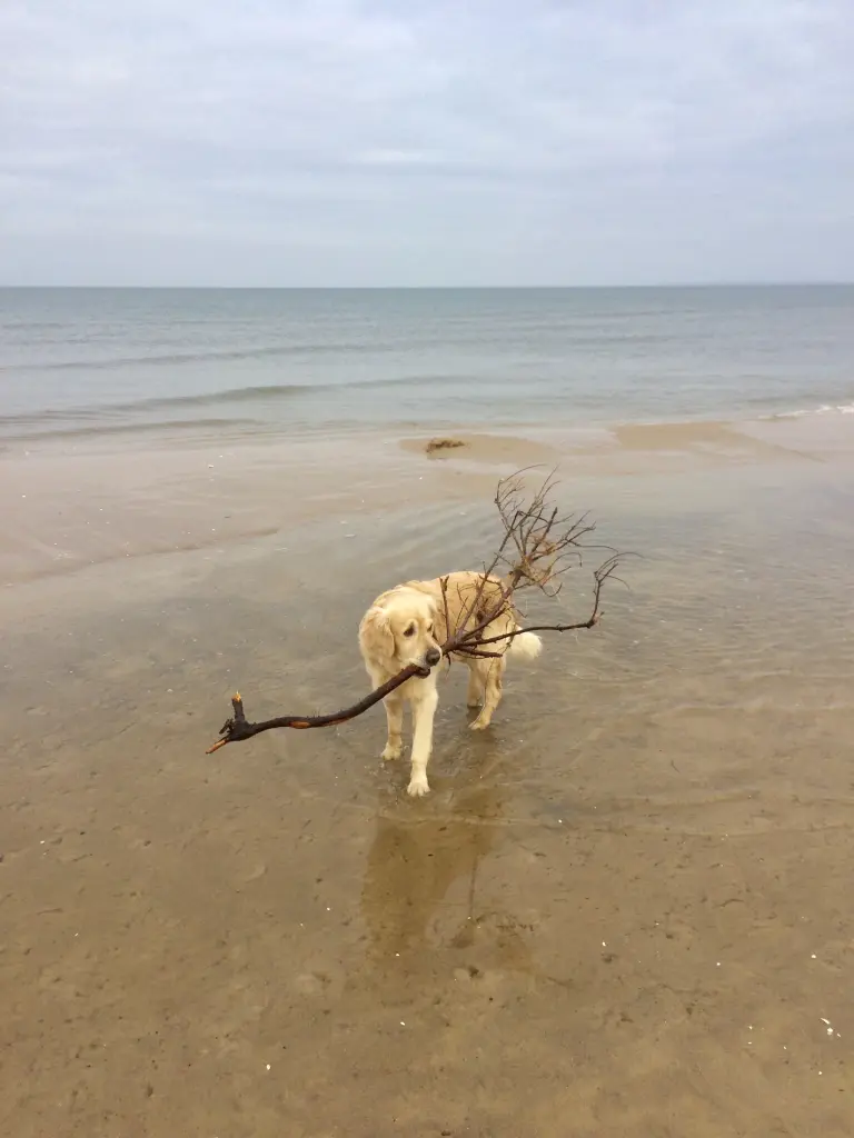 Condolence image of ❤️❤️❤️