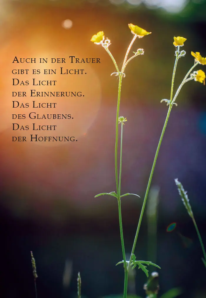 Condolence image of Ronny♥️für Snowy ❤️